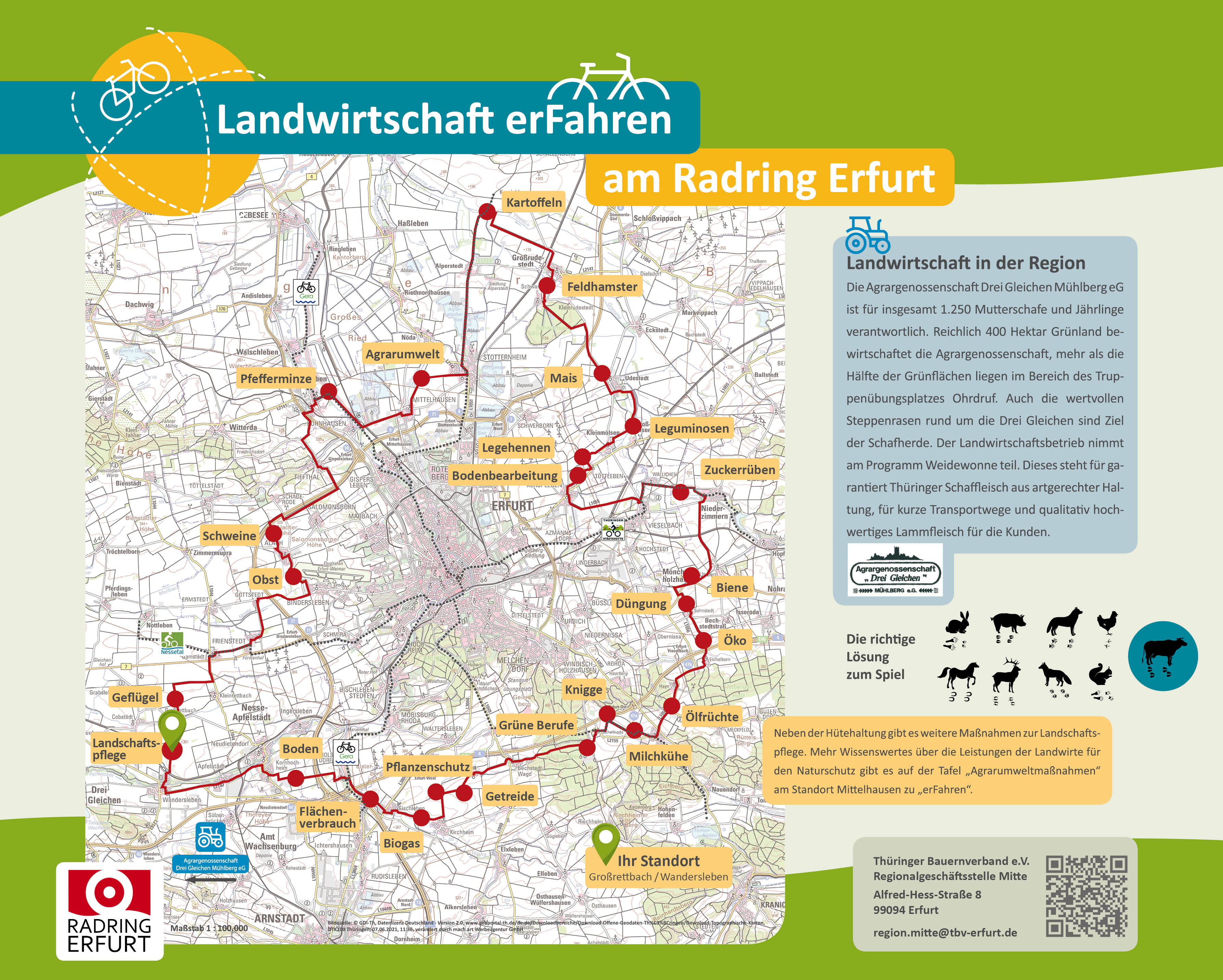Rückseite