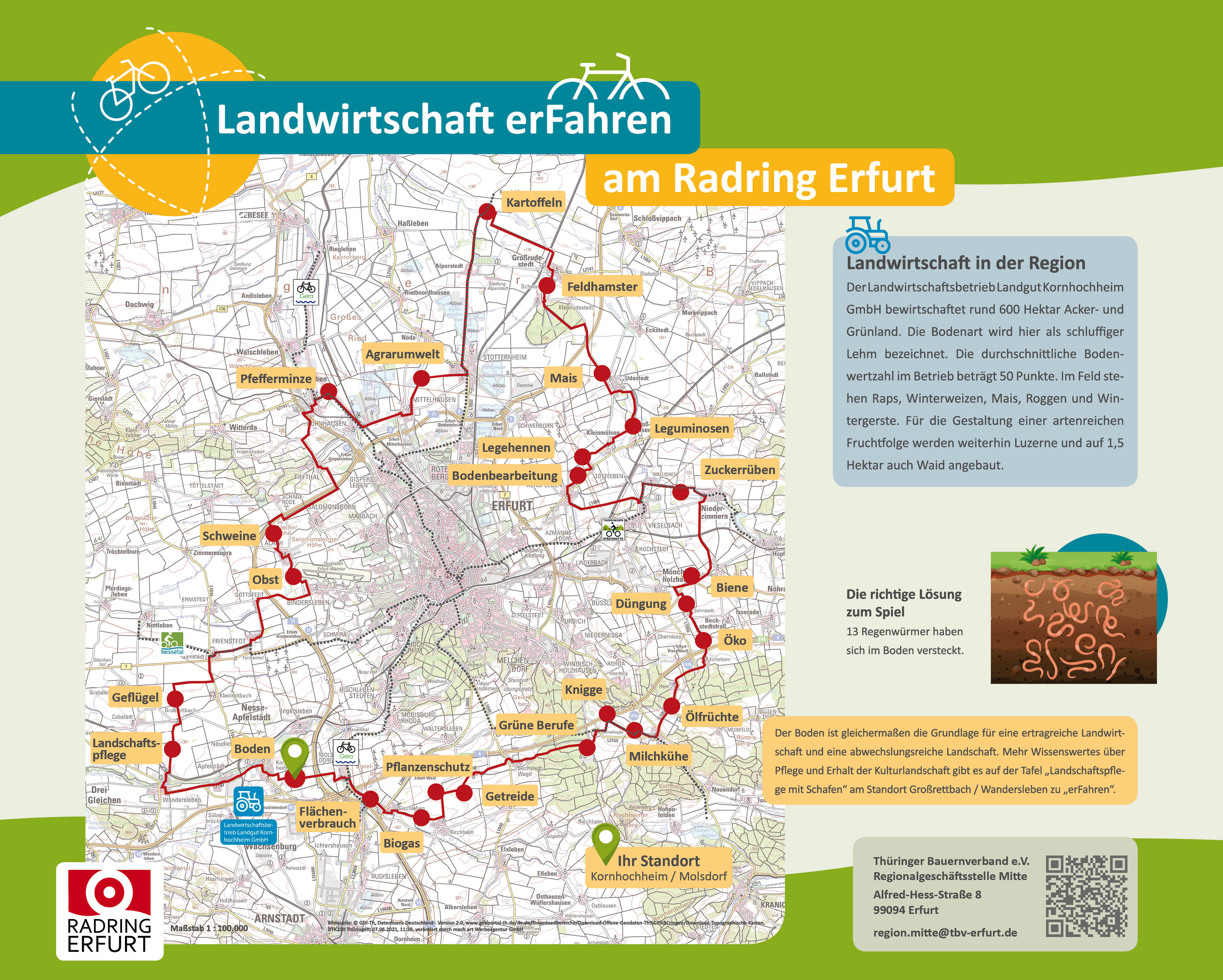Rückseite