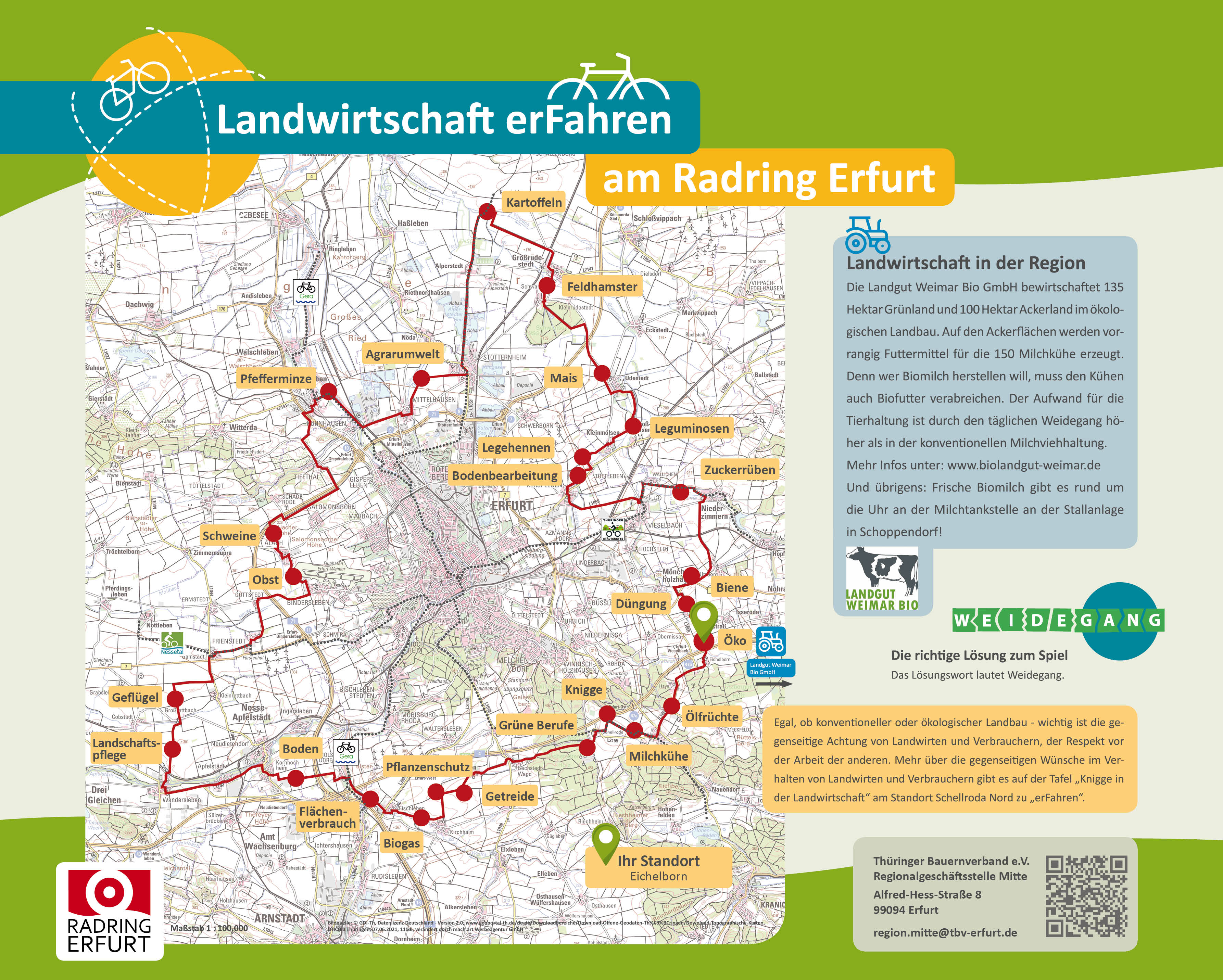 Rückseite