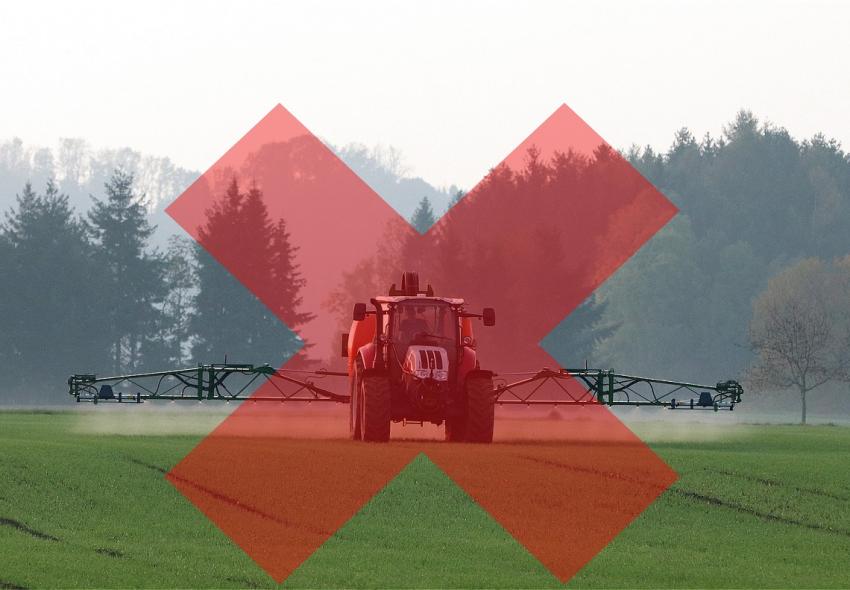 Aktuelle Informationen zum Thema „Glyphosat“