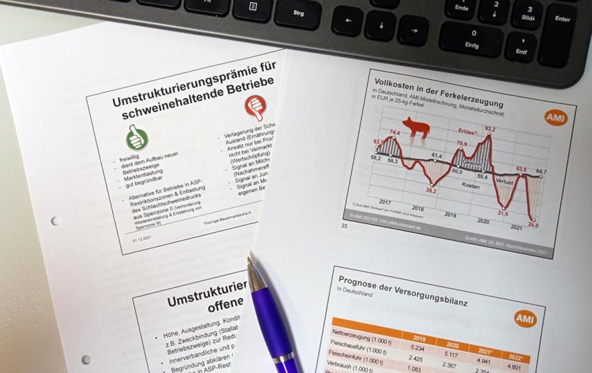 Fachausschuss Nutztierhaltung (Schwein) diskutiert Umstrukturierungsprämie