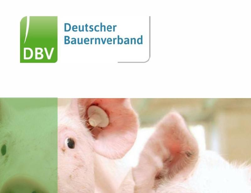 DBV-Veredelungstag 2025