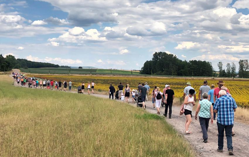 Anbau von Sonderkulturen im Fokus der geführten Wanderung in Rockendorf