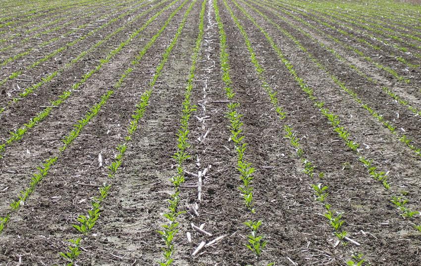 Feldrundgang der Gewässerschutzkooperation Teilprojekt Erosion