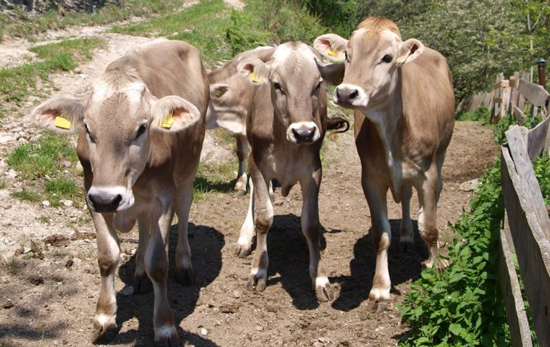AGROCHANGE: Schnell sein lohnt sich. Jetzt noch anmelden!