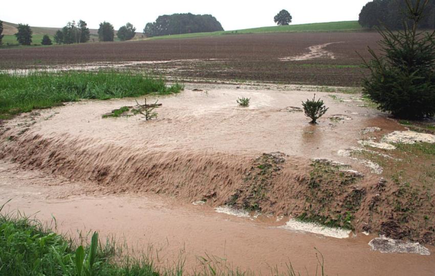 Agrarverwaltung gibt am 19. Mai Informationen zu Bescheiden und Maßnahmenumsetzung KULAP E1/E2