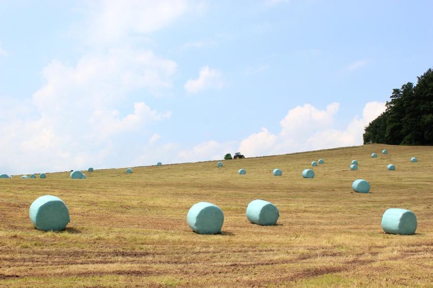 Medieninformation: Anhaltende Trockenheit belastet Thüringer Landwirtschaft - Die Hoffnung auf Regen bleibt