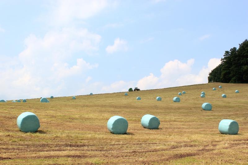 Medieninformation: Anhaltende Trockenheit belastet Thüringer Landwirtschaft - Die Hoffnung auf Regen bleibt