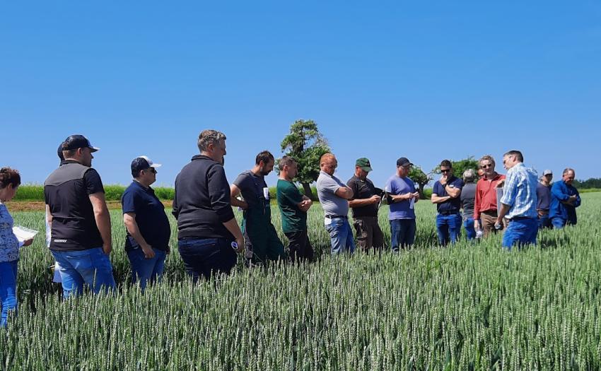 Feldtag im Landkreis Nordhausen: Sortenversuche der Agrar GmbH Mauderode-Herreden