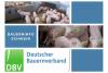 Bauerninfo Schwein 01/2024