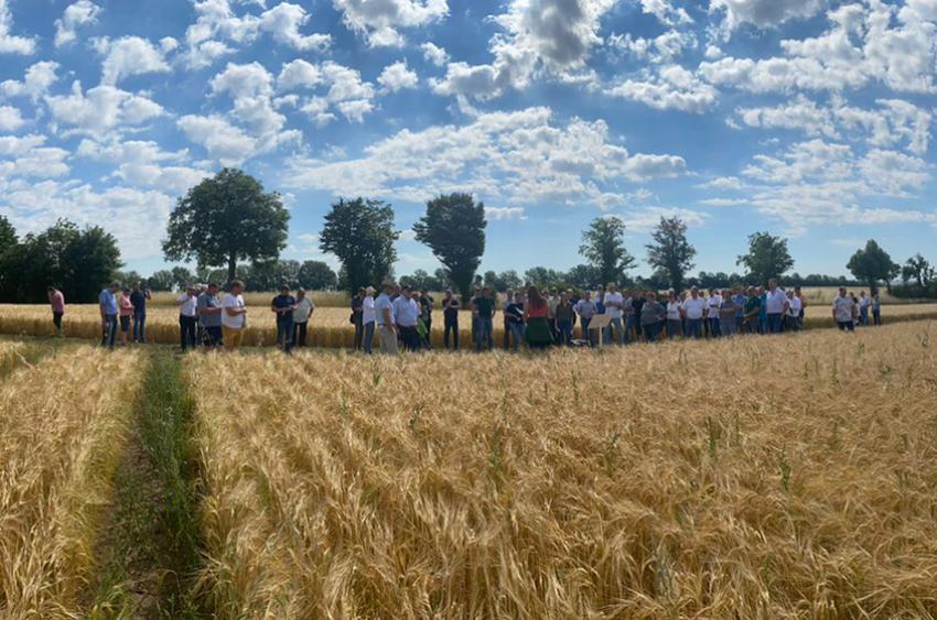 Initiative Heimische Landwirtschaft: Exkursion „Wie kommt der Hopfen ins Bier?“