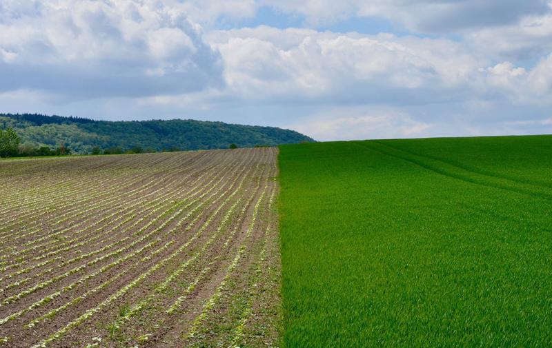 Digitale Flurstücksdaten verfügbar