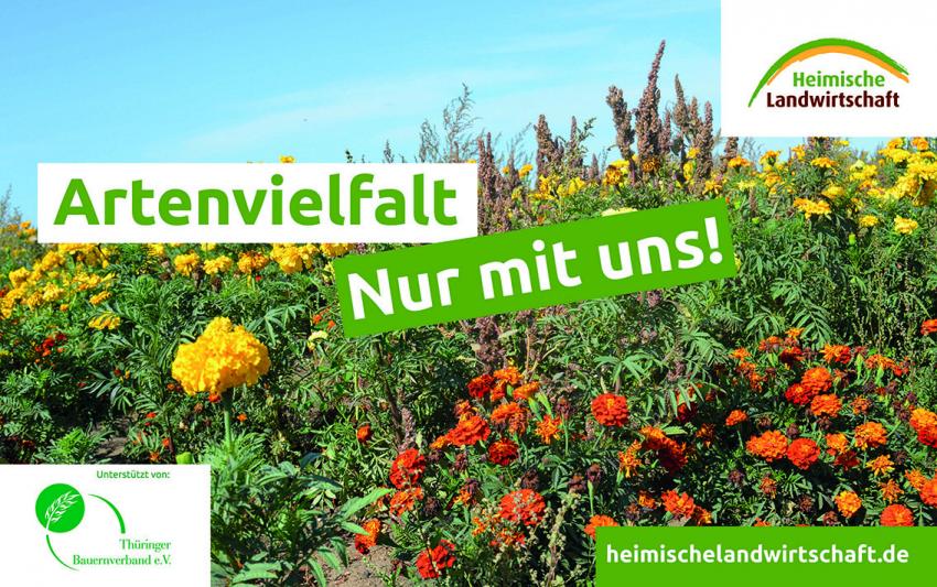 Plakataktion zum Tag der Artenvielfalt gestartet