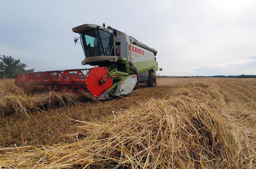Bauernmilliarde: der Großteil der Landwirte geht leer aus
