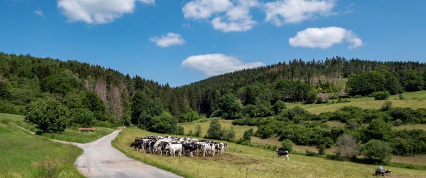 KULAP-Antragsstellung: Weisungsbefugnis für UNB liegt beim Landratsamt
