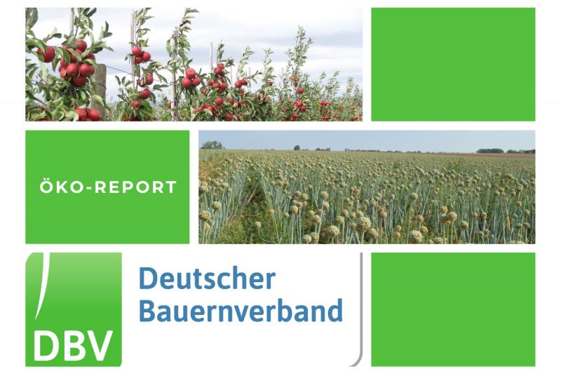 DBV Öko Report 06/2025