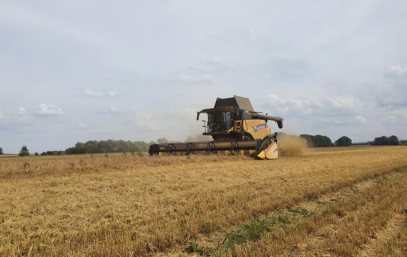 Allgemeinverfügung zum Sonn- und Feiertagsfahrverbot