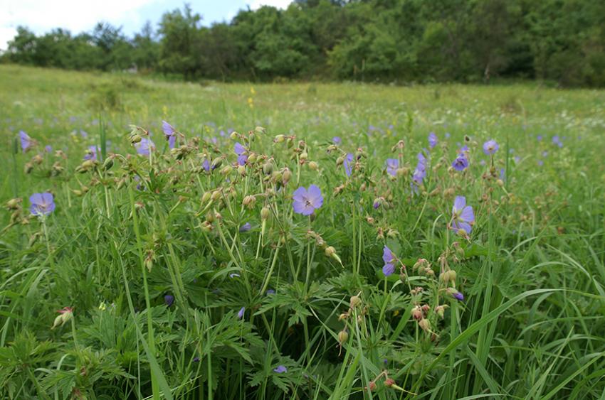 FAQ-Liste KULAP überarbeitet