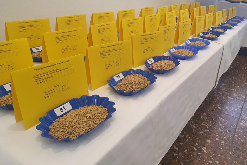 Aufruf zum Thüringer Braugerstenwettbewerb 2021
