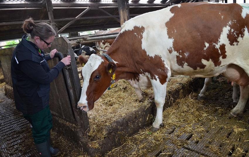 Fachausschuss "Berufsbildung und Bildungspolitik" des Deutschen Bauernverbandes tagte