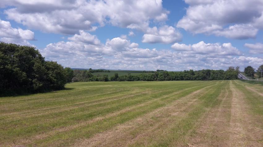 Thüringen baut digitales Bodenfeuchte-Messnetz auf