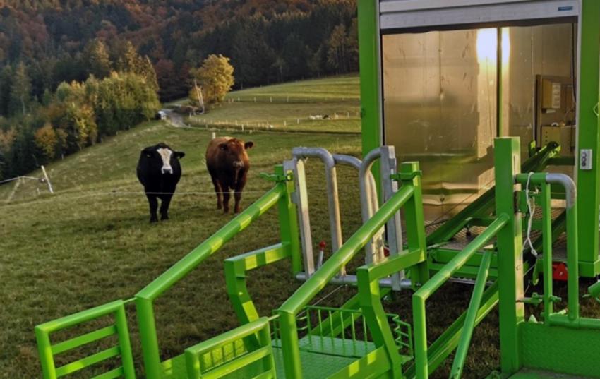 Beschlussempfehlung zur mobilen Schlachtung einstimmig angenommen