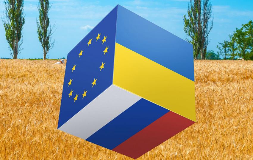 Medieninformation: Lebensmittelversorgung hierzulande gesichert – hohe Energie- und Düngemittelpreise gefährden die Stabilität der Landwirtschaftsbetriebe