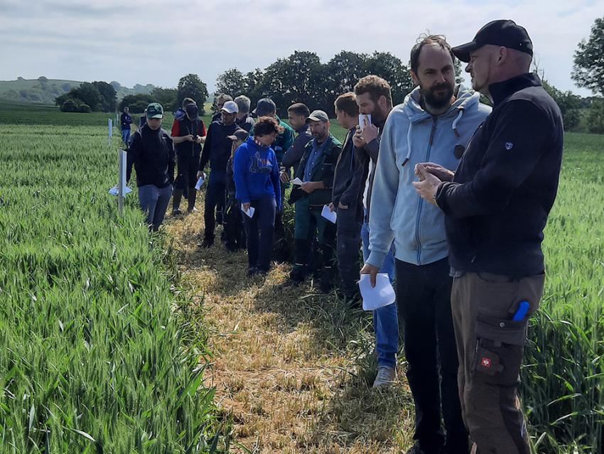 Feldtag im Landkreis Nordhausen: Sortenversuche der Agrar GmbH Mauderode-Herreden