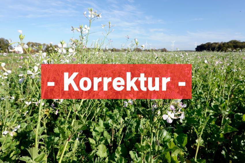 KORREKTUR! Konditionalitätenbrache – Was darf ich jetzt?