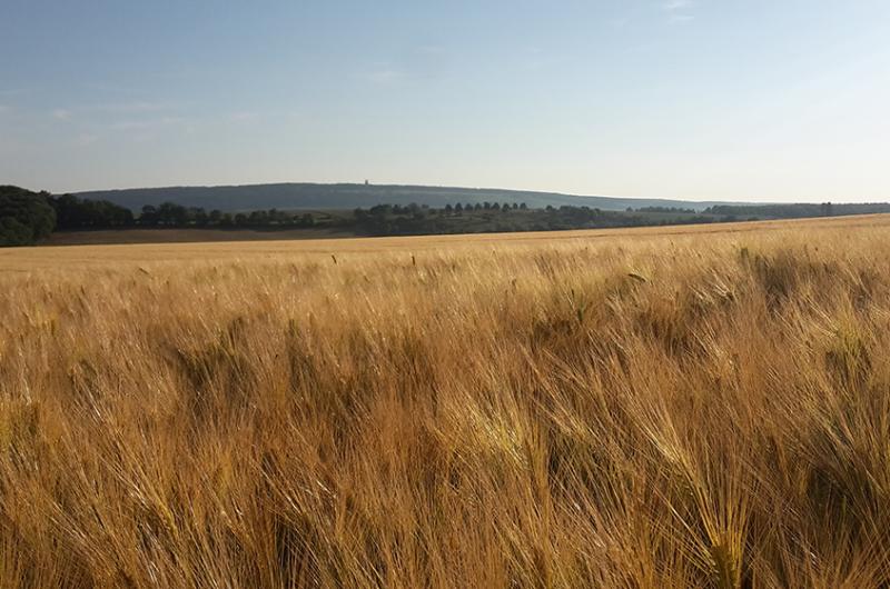 Flurfahrt mit Ministerpräsident Bodo Ramelow