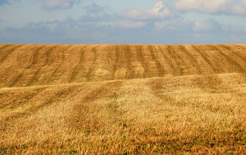Wie wird das Beantragtkennzeichen Mindestbodenbedeckung in PORTIA gesetzt und wie erfolgt die Nachweisführung im KULAP