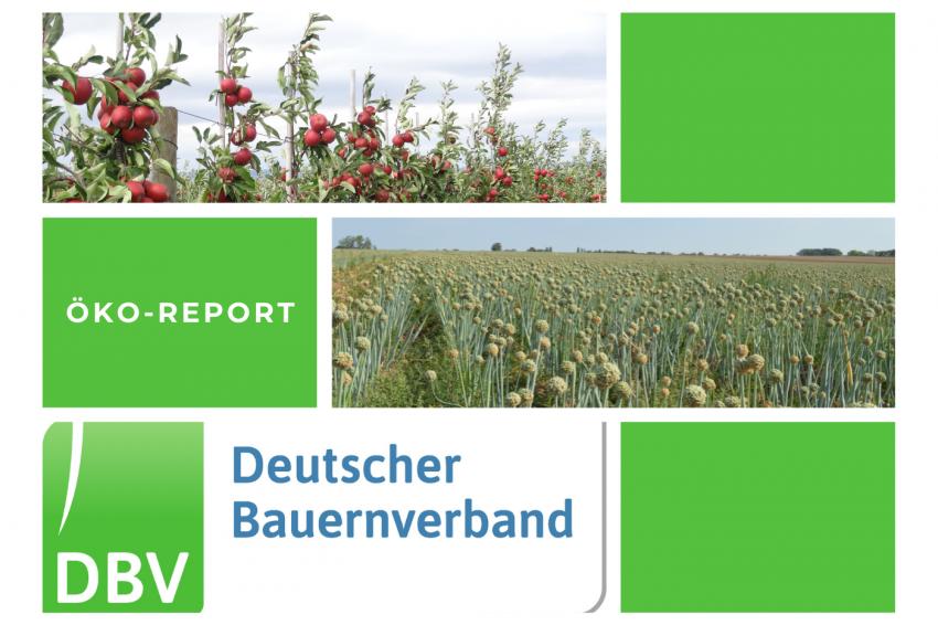 DBV Öko Report 08/2022