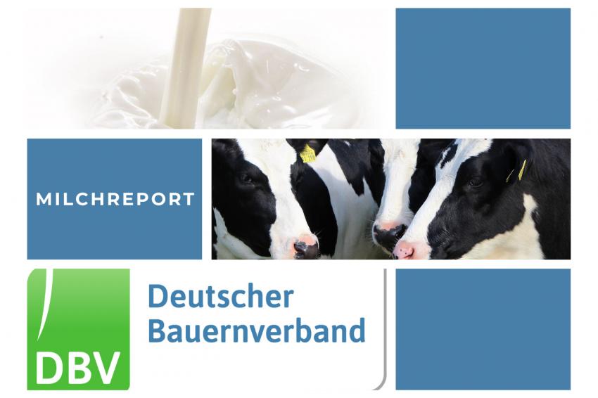 DBV Milchinfo 27/2025