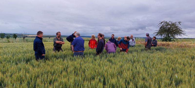 Flurfahrt zum Thema Strip-Till-Verfahren in Oberbösa