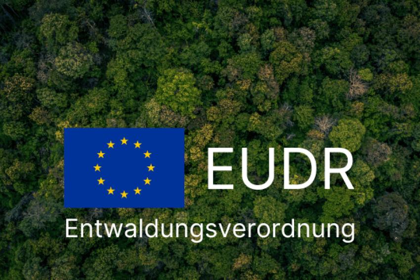 Webseminar der BLE zur EU-Entwaldungsverordnung (EUDR)