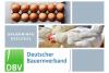 DBV Bauerninfo Geflügel 28/2021