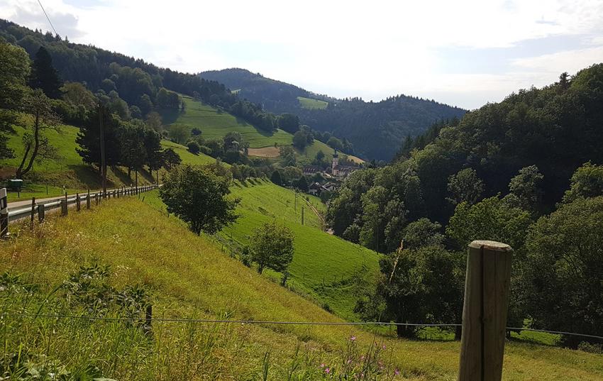 Grundsteuererklärung : keine Schnittstelle zum Datentransfer seitens des Landes