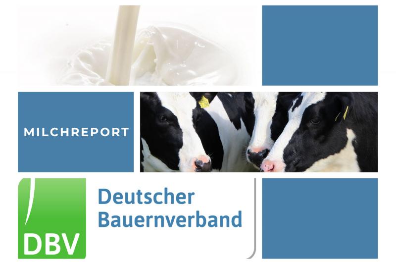 DBV Milchinfo 44/2025