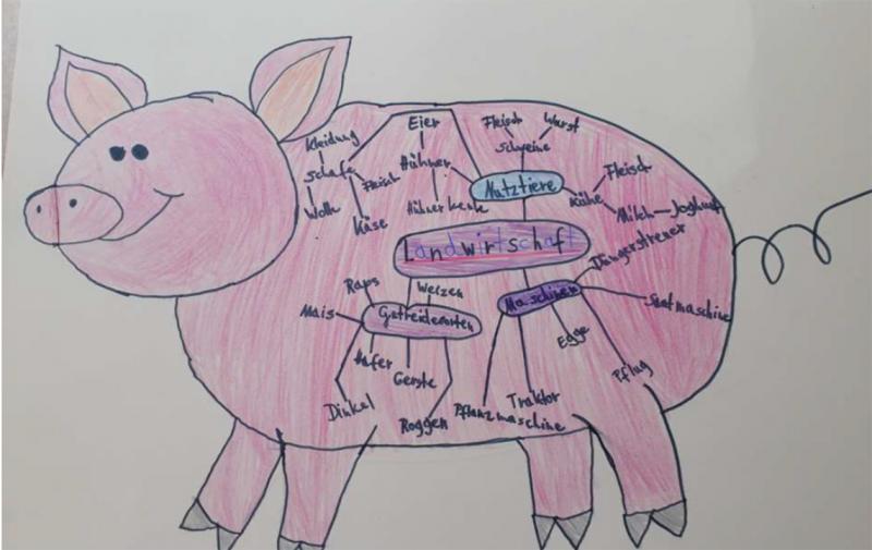 Lernort Bauernhof Thüringen -  Mal- und Bastelwettbewerb für Kindergärten!