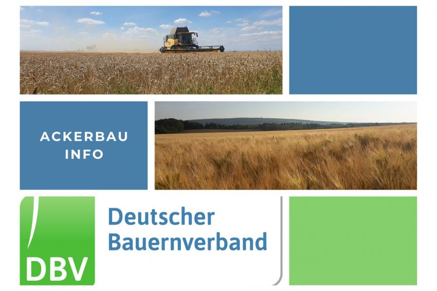 DBV Ackerbauinfo 21/2025