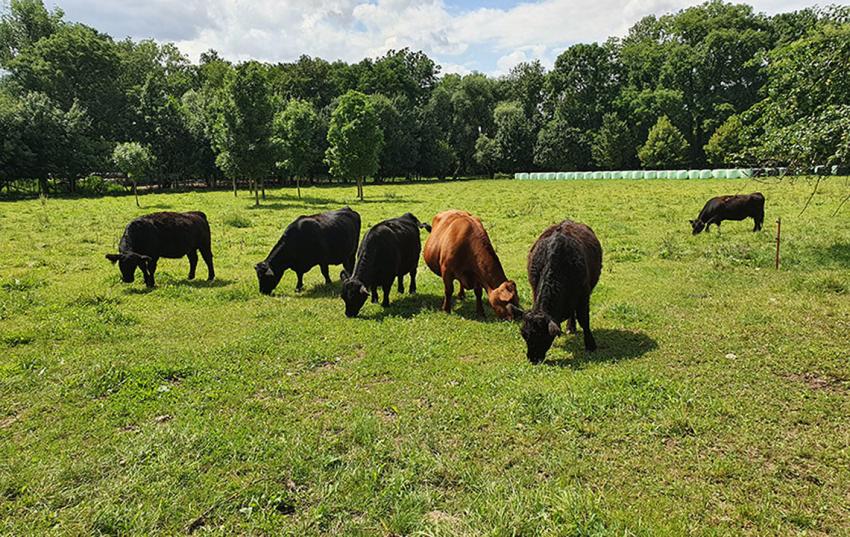 Vorstand IG BENA trifft sich mit Ministerin Karawanskij zum Jahresgespräch